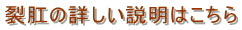 ̏ڂ͂